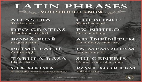 A Profile Of A Latin Beauty