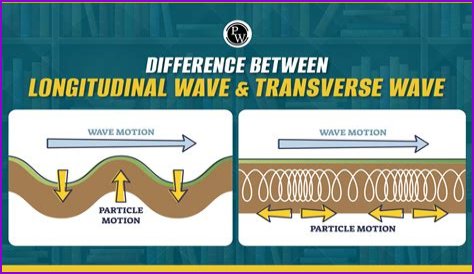 How is a longitudinal wave different from a transverse wave?