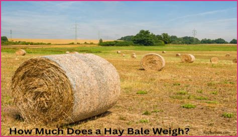 How much is a round bale of hay in Oklahoma?