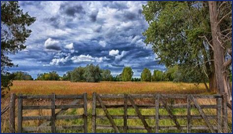 What is severance tax in oil and gas?