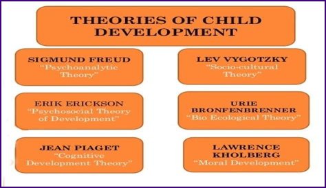 Who is the predominant theorist in cognitive development?